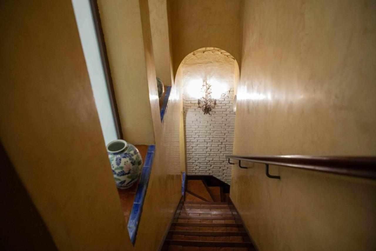 Apartamento Monkeys Adriano & Terrace *