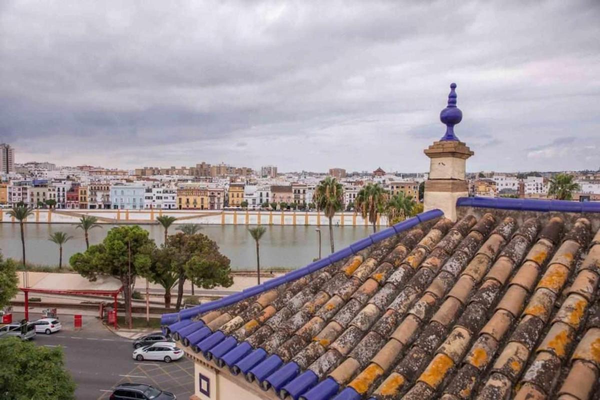 Monkeys Adriano & Terrace * Seville